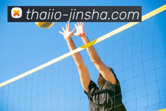 澳门金沙官网平台生态图