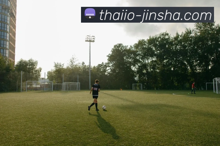 澳门金沙官网APP 封面图